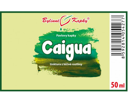Caigua (ačokča) tinktura 50 ml - Bylinné Kapky