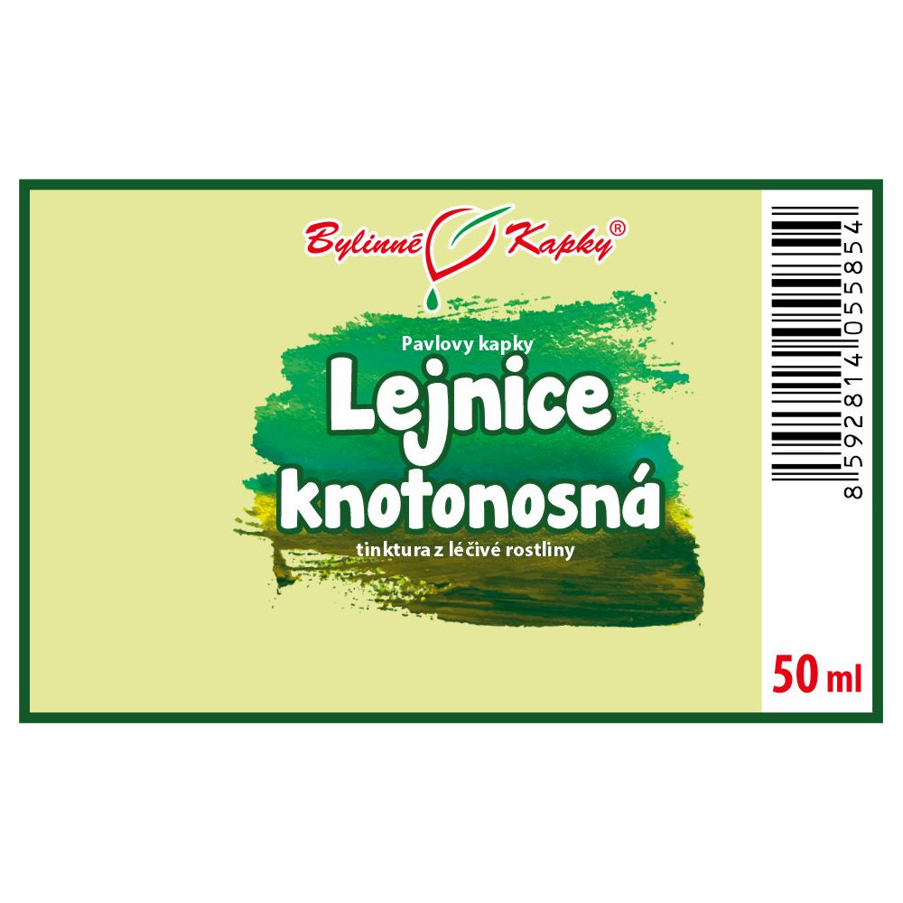 Lejnice tinktura 50 ml - Bylinné Kapky