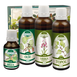 Bylinná kúra K03 Prostata 175 ml - Naděje Podhorná