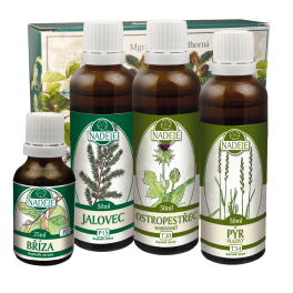Bylinná kúra K10 při potížích s kožními problémy  175 ml - Naděje Podhorná