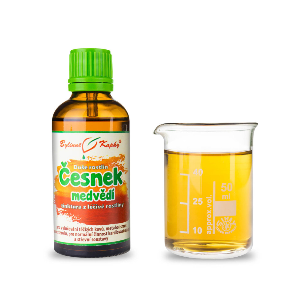 Česnek medvědí - Duše rostlin tinktura 50 ml - Bylinné Kapky