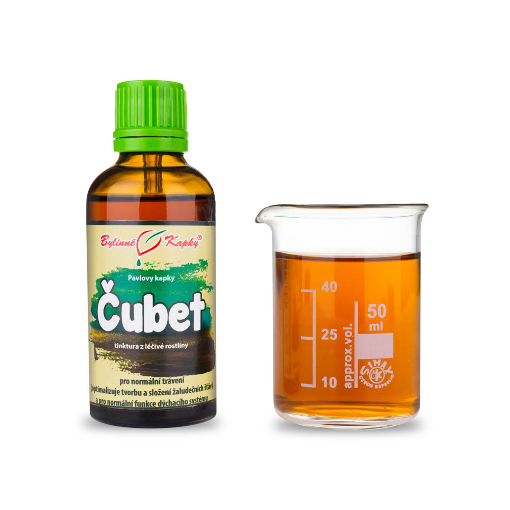 Čubet (benedikt lékařský) tinktura 50 ml - Bylinné Kapky