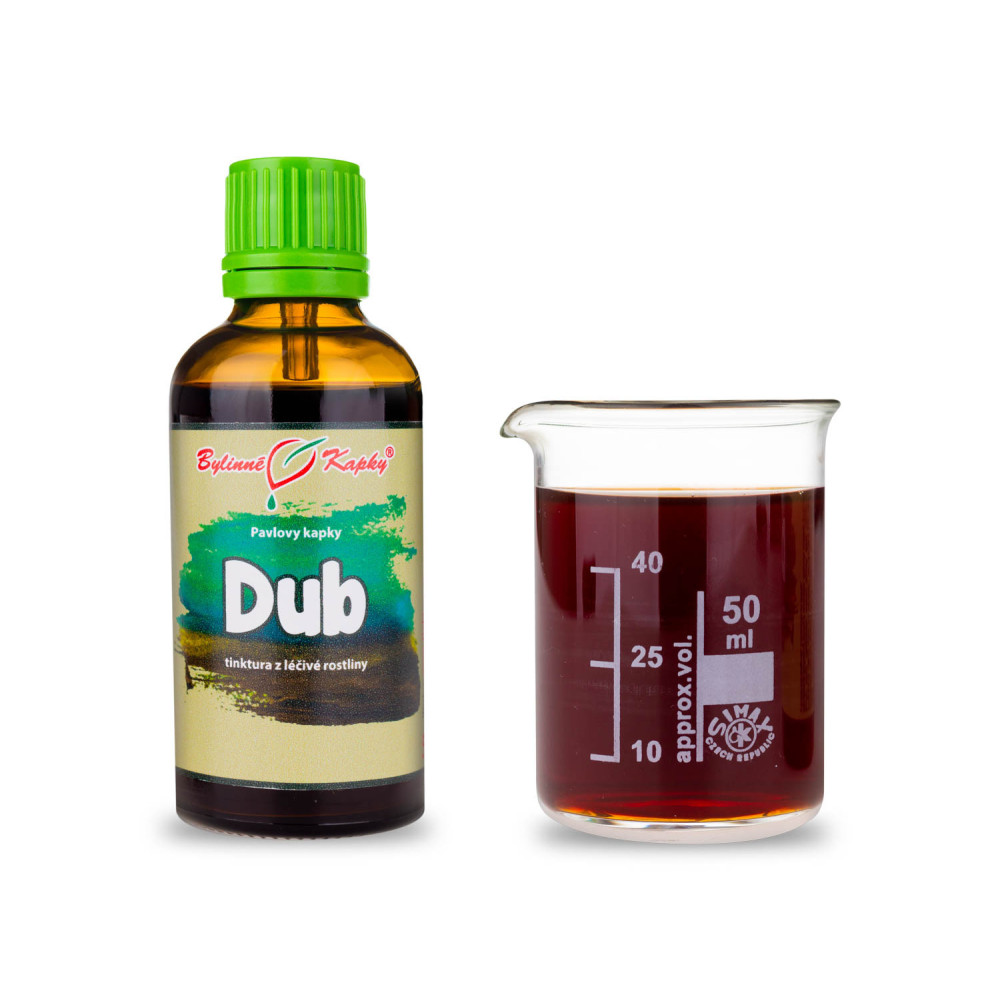 Dub tinktura 50 ml - Bylinné Kapky