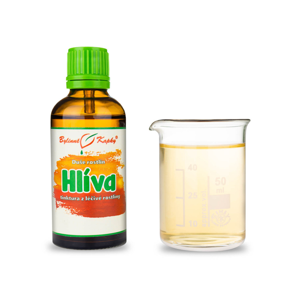 Hlíva - Duše rostlin tinktura 50 ml - Bylinné Kapky