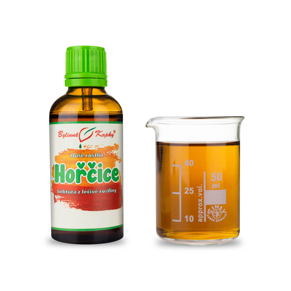 Hořčice - Duše rostlin tinktura 50 ml - Bylinné Kapky