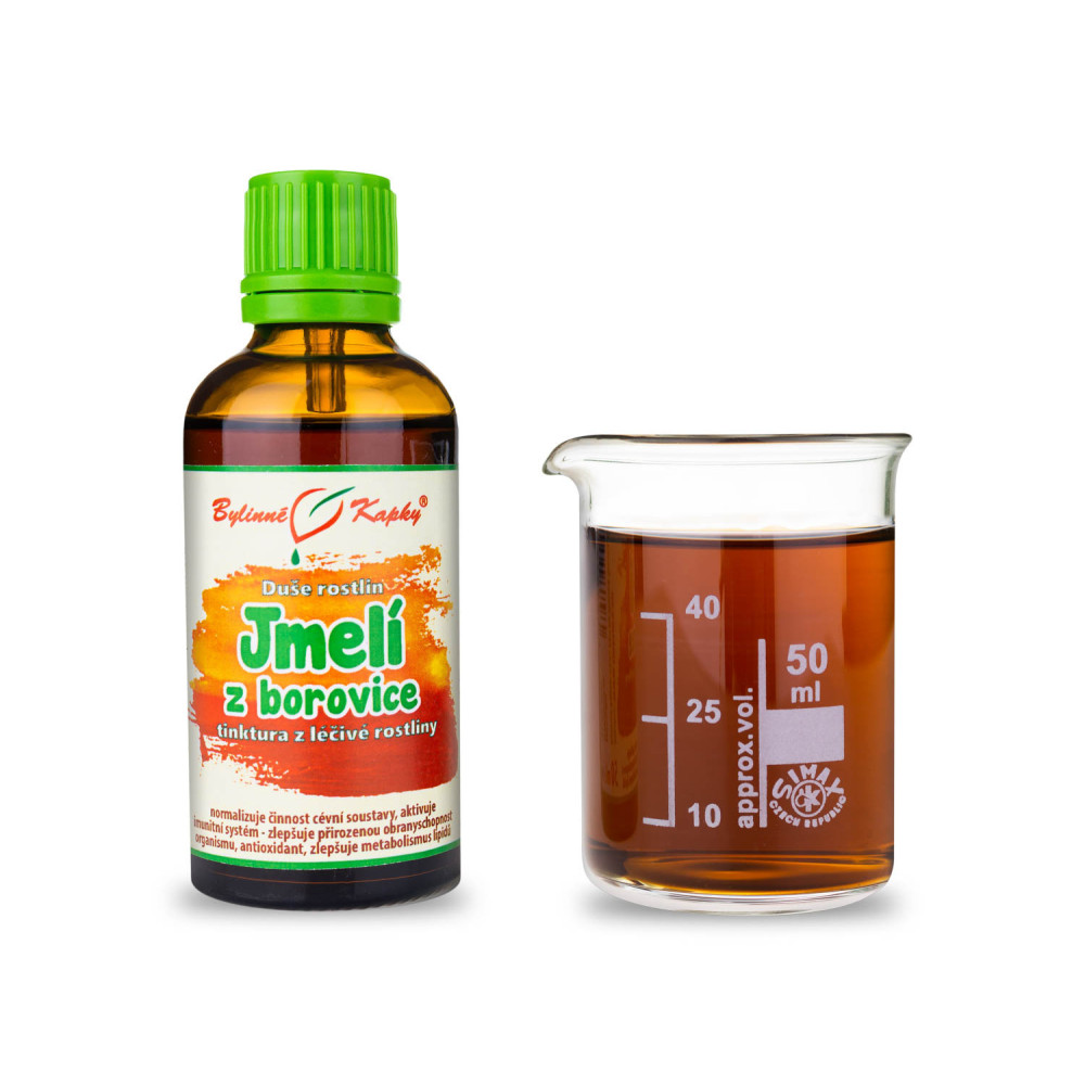 Jmelí z borovice - Duše rostlin tinktura 50 ml - Bylinné Kapky