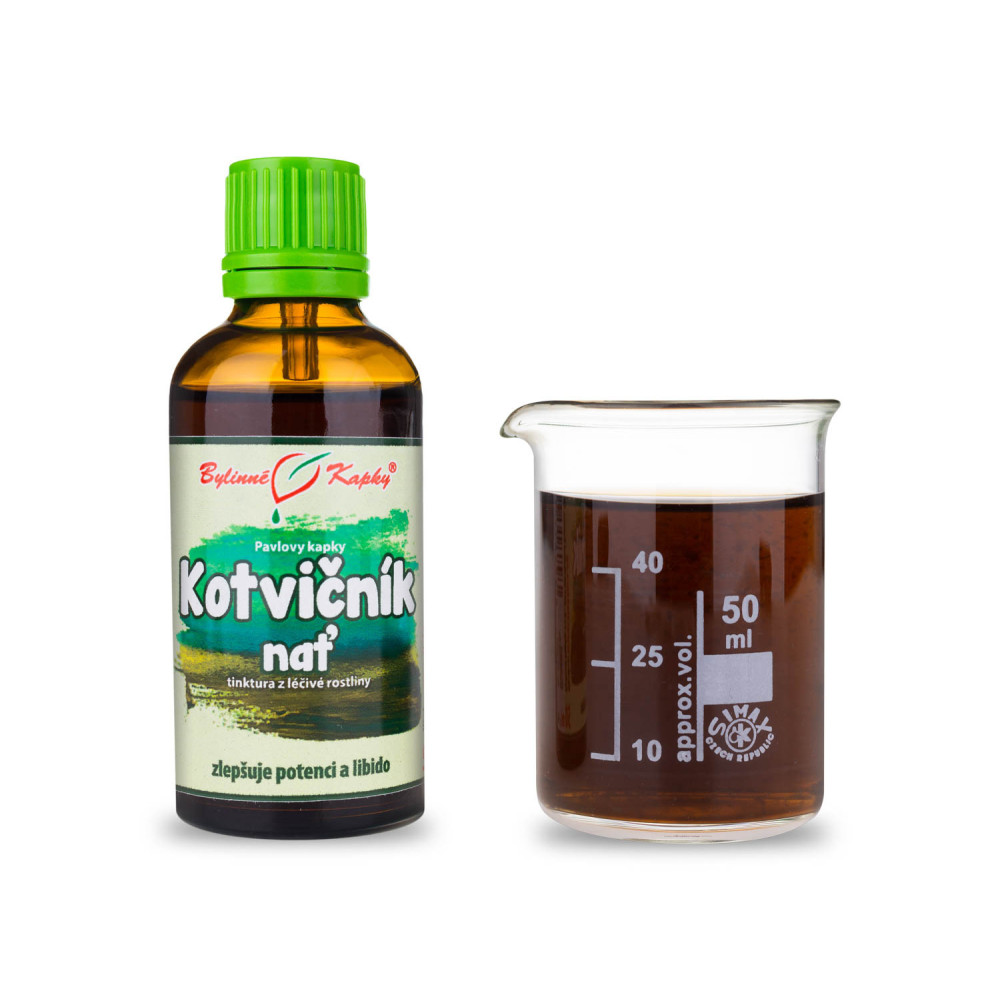 Kotvičník nať tinktura 50 ml - Bylinné Kapky