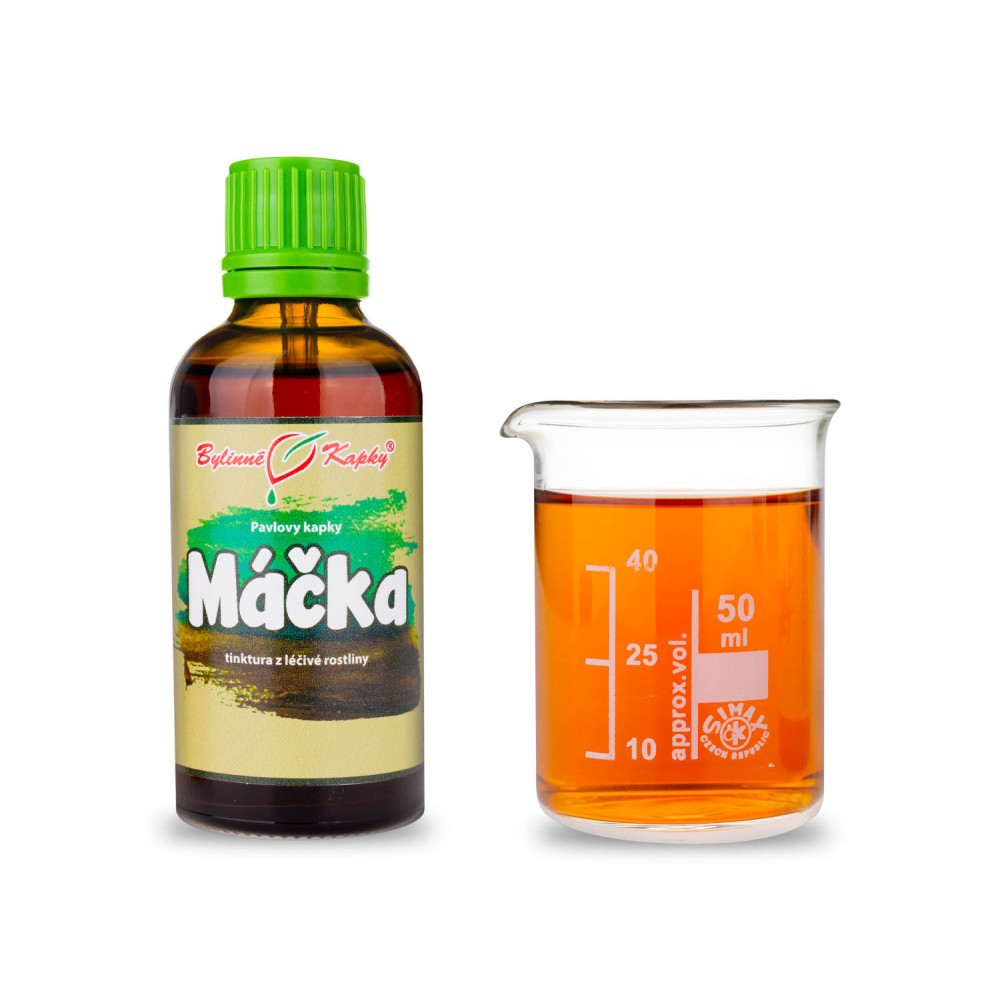 Máčka nať tinktura 50 ml - Bylinné Kapky