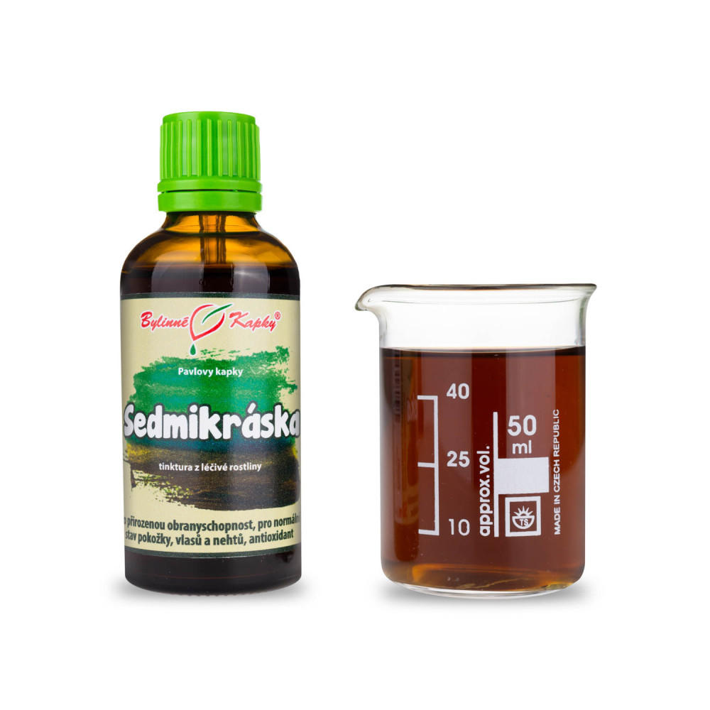 Sedmikráska tinktura 50 ml - Bylinné Kapky