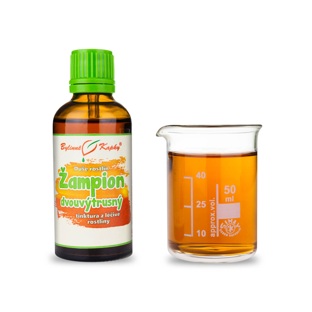 Žampion dvouvýtrusný - Duše rostlin tinktura 50 ml - Bylinné Kapky