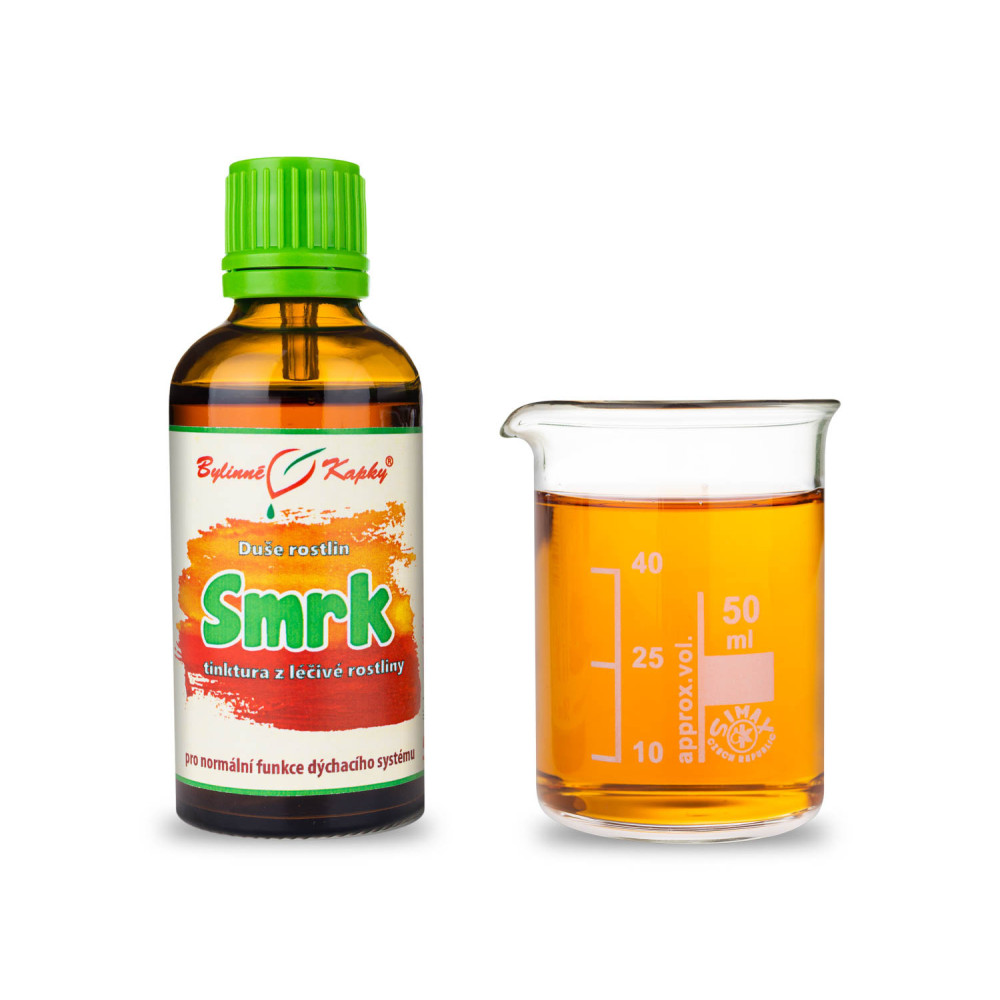 Smrk - Duše rostlin tinktura 50 ml - Bylinné Kapky