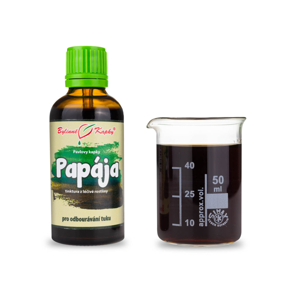 Papája (papaya) tinktura 50 ml - Bylinné Kapky