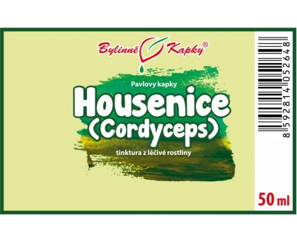 Housenice - Cordyceps tinktura 50 ml - Bylinné Kapky