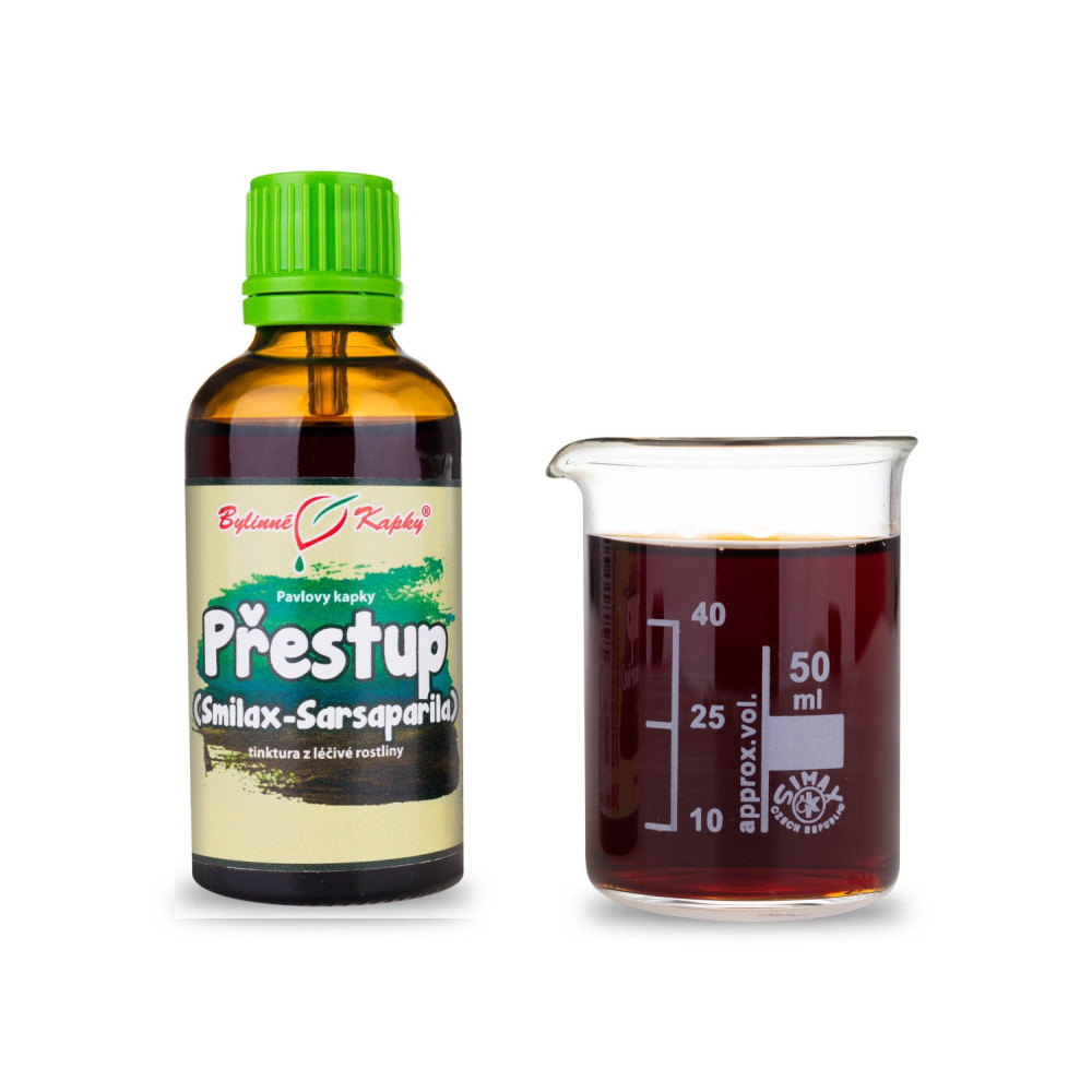 Sarsaparilla (Smilax, přestup) tinktura 50 ml - Bylinné Kapky
