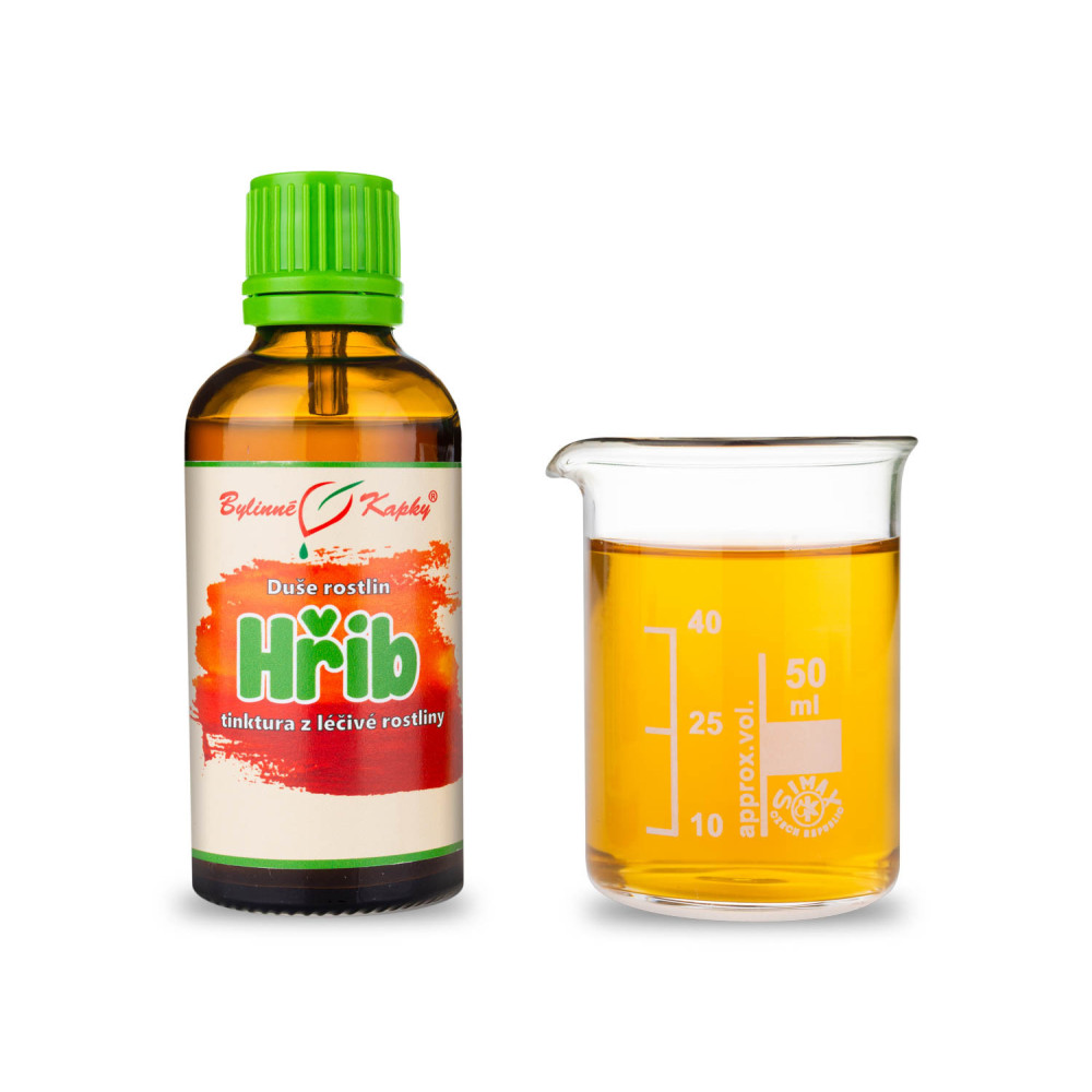 Hřib - Duše rostlin tinktura 50 ml - Bylinné Kapky
