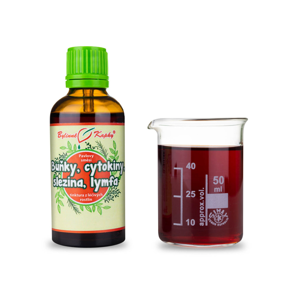 Buňky, cytokiny, slezina, lymfa (Netopýr 3)  tinktura 50 ml - Bylinné Kapky