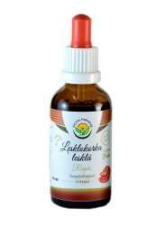 Lesklokorka lesklá AF tinktura 50ml - Salvia Paradise