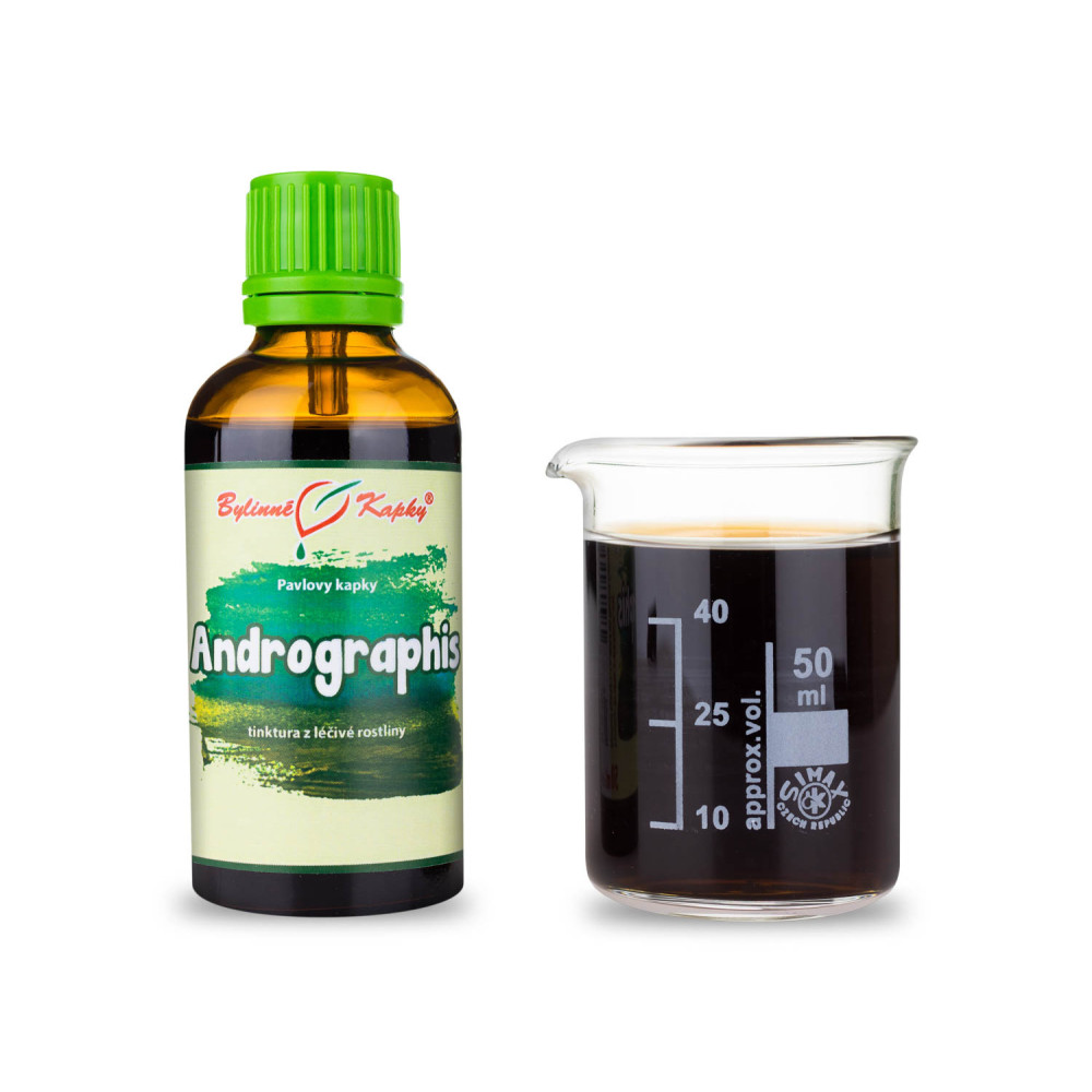 Andrographis tinktura 50 ml - Bylinné Kapky