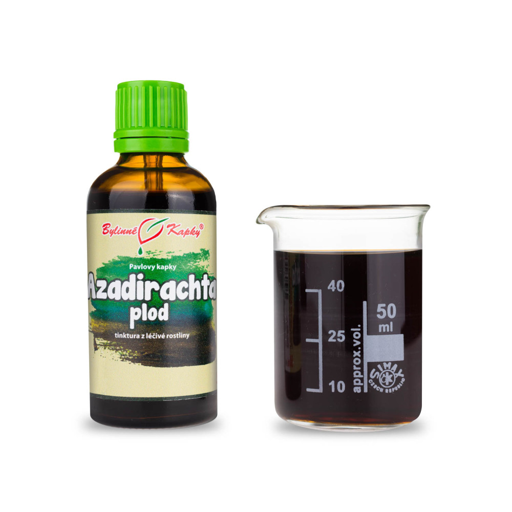 Azadirachta plod (Nimba, Neem) tinktura 50 ml - Bylinné Kapky