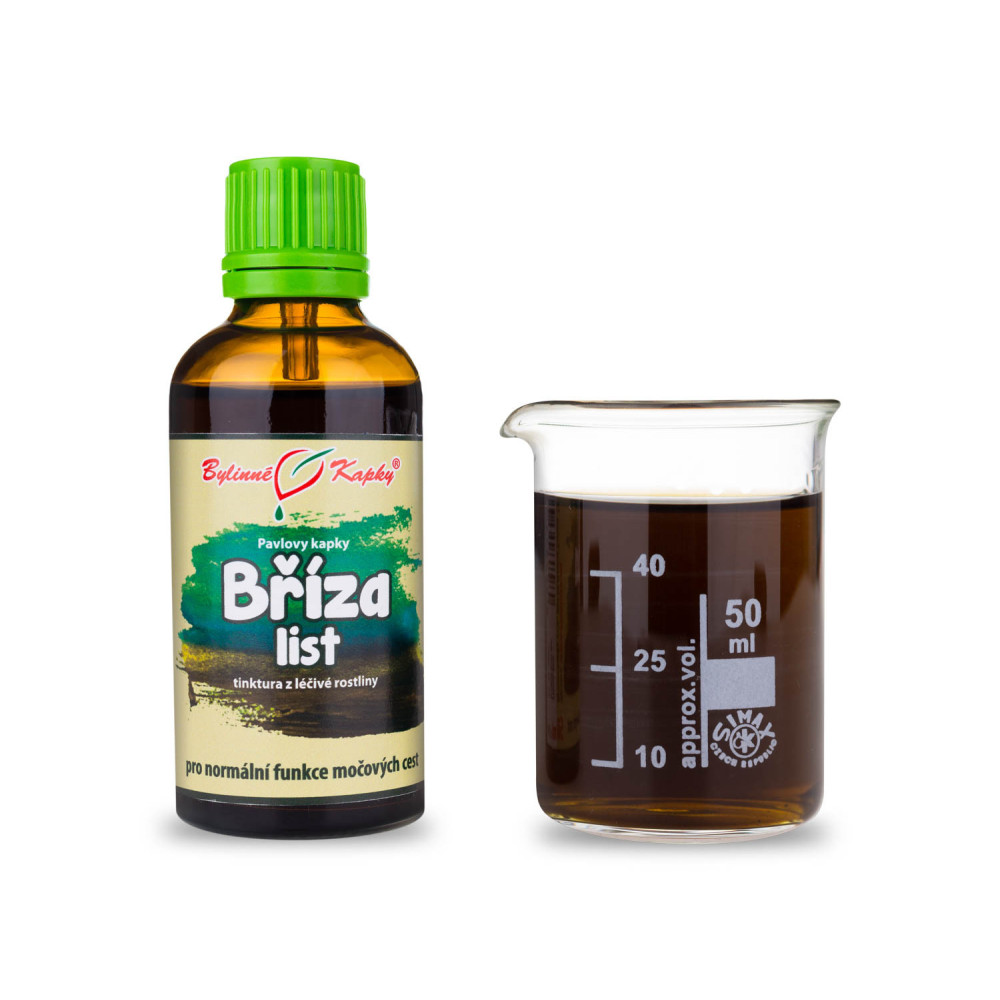 Bříza list tinktura 50 ml - Bylinné Kapky