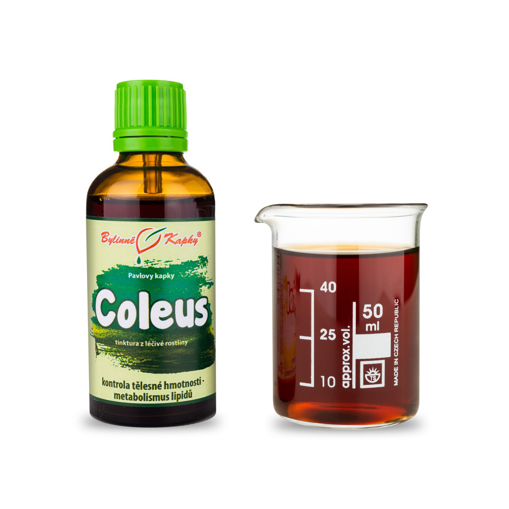 Coleus tinktura 50 ml - Bylinné Kapky