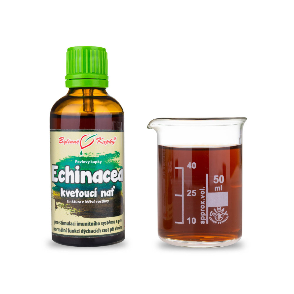 Echinacea (třapatka) kvetoucí nať tinktura 50 ml - Bylinné Kapky