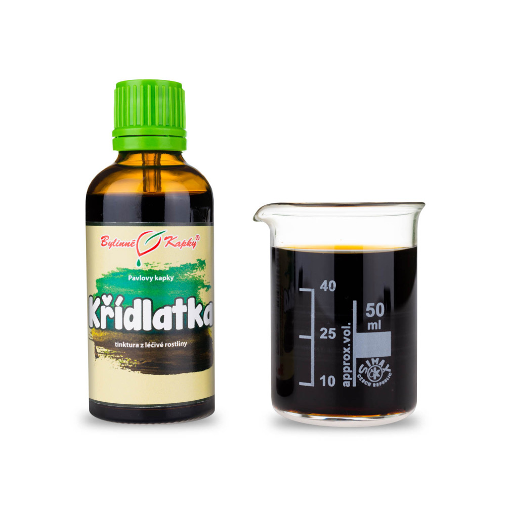 Křídlatka tinktura 50 ml - Bylinné Kapky