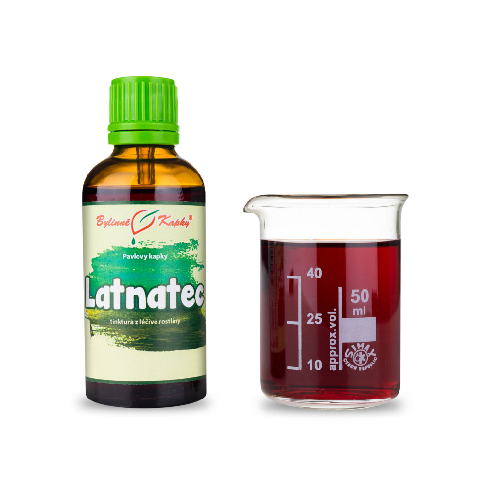 Latnatec tinktura 50 ml - Bylinné Kapky 
