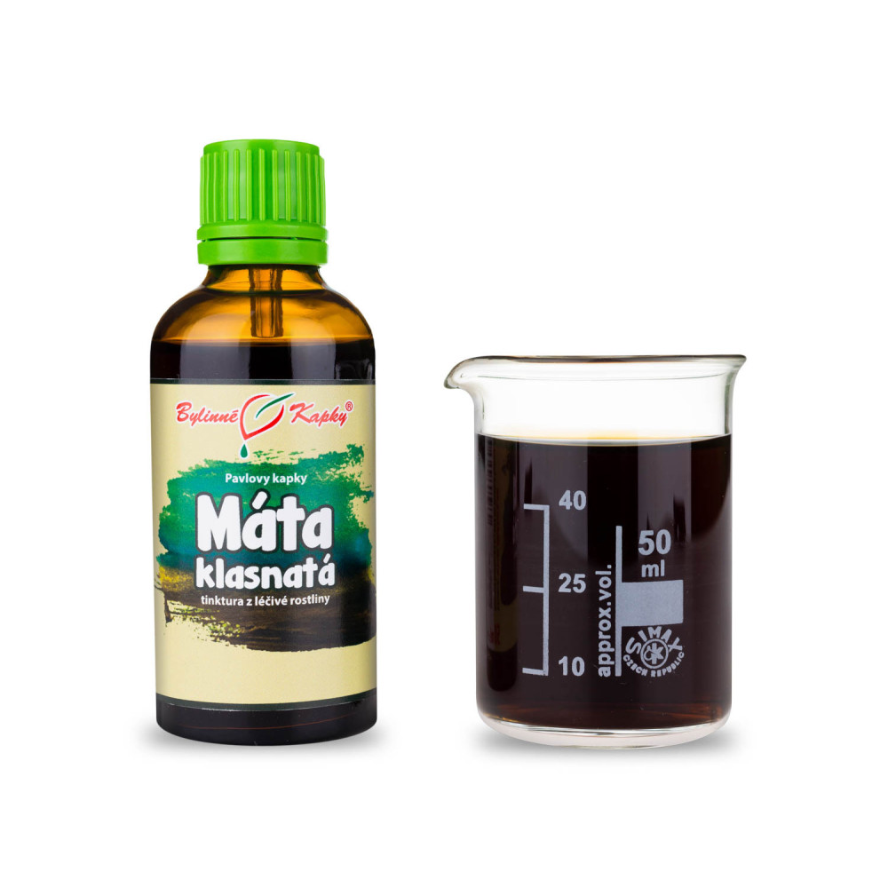Máta klasnatá tinktura 50 ml - Bylinné Kapky