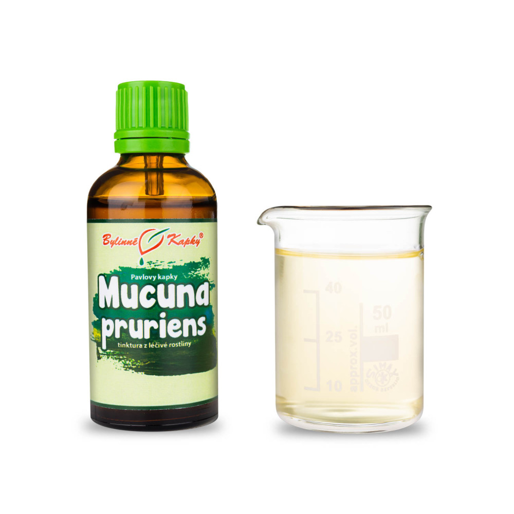 Mucuna pruriens tinktura 50 ml - Bylinné Kapky