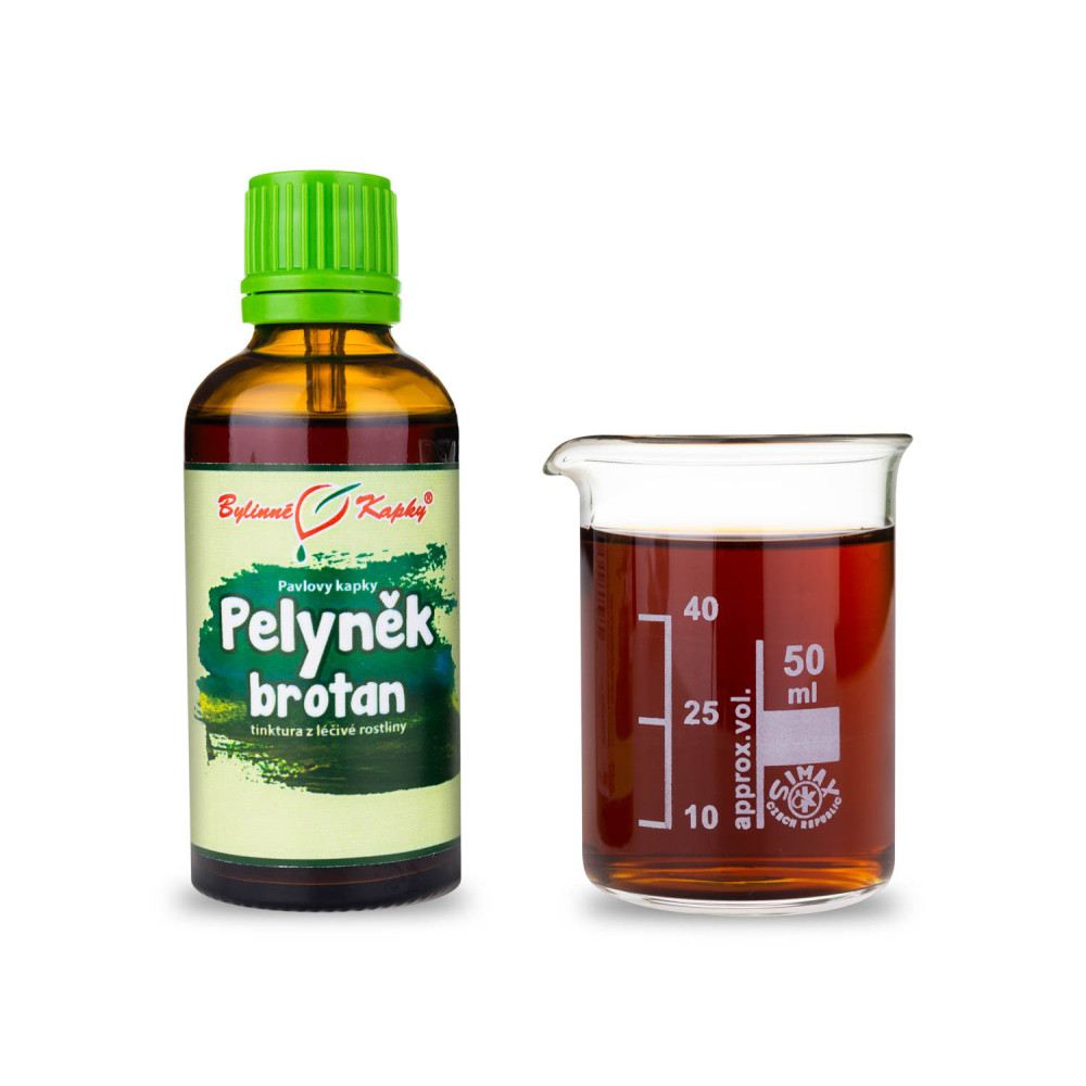 Pelyněk brotan tinktura 50 ml - Bylinné Kapky