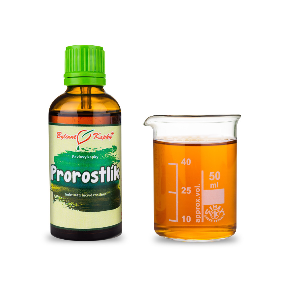 Prorostlík tinktura 50 ml - Bylinné Kapky