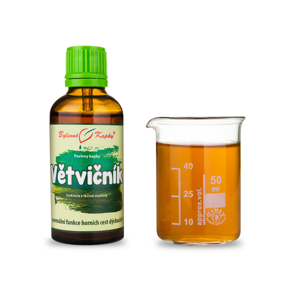 Větvičník tinktura 50 ml - Bylinné Kapky