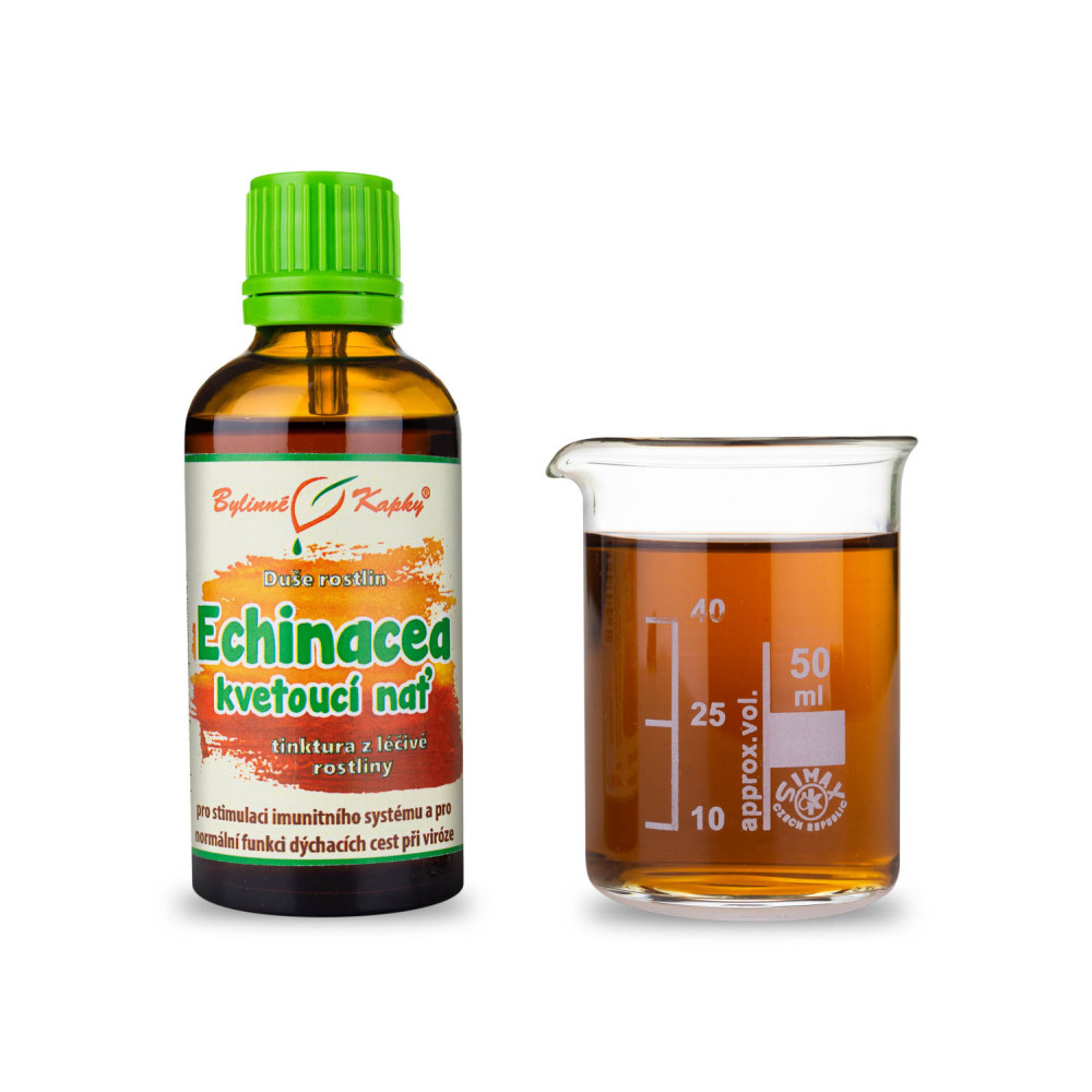 Echinacea (třapatka) kvetoucí nať - Duše rostlin tinktura 50 ml - Bylinné Kapky
