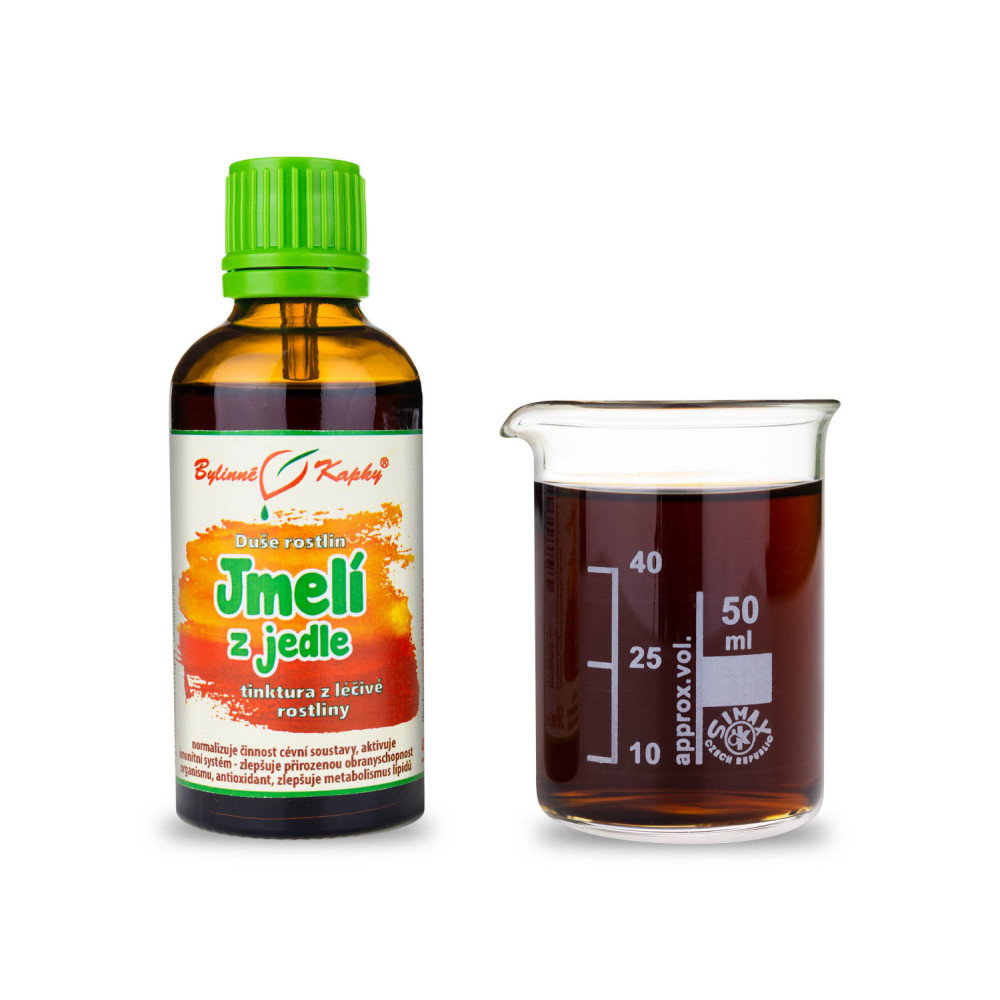 Jmelí z jedle douglasky - Duše rostlin tinktura 50 ml - Bylinné Kapky