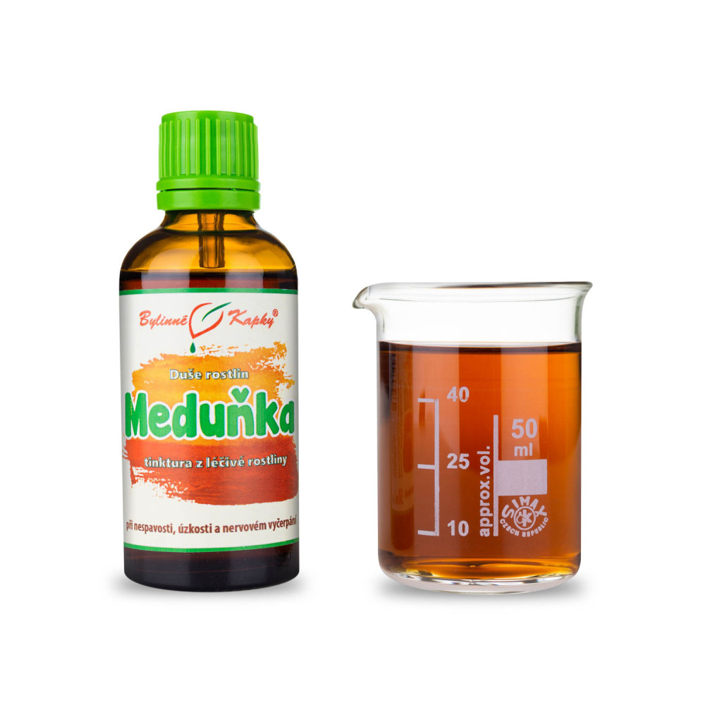Meduňka - Duše rostlin tinktura 50 ml - Bylinné Kapky