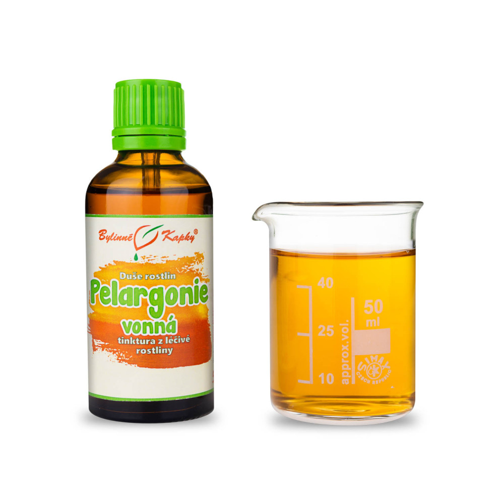 Pelargonie vonná - Duše rostlin tinktura 50 ml - Bylinné Kapky