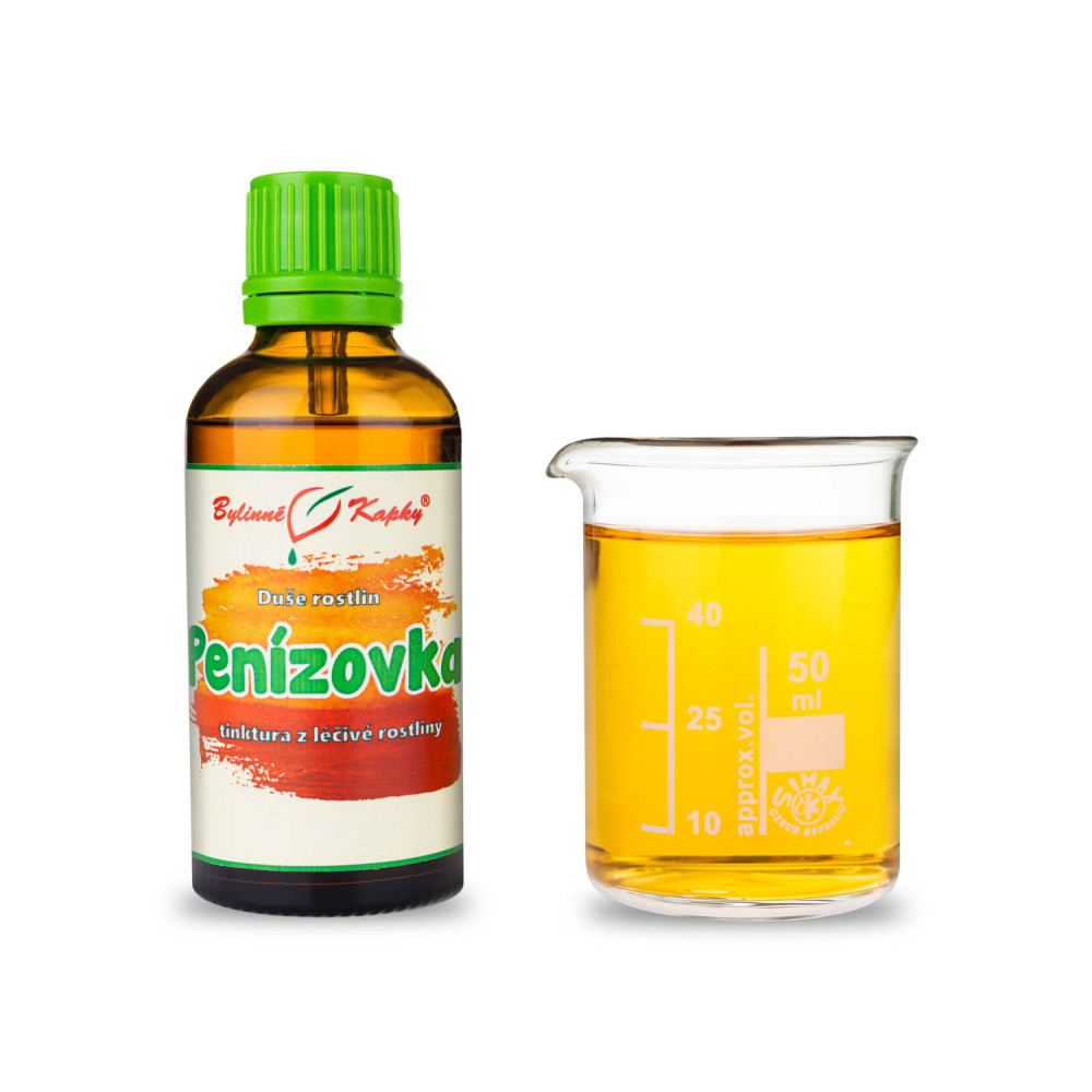 Penízovka - Duše rostlin tinktura 50 ml - Bylinné Kapky