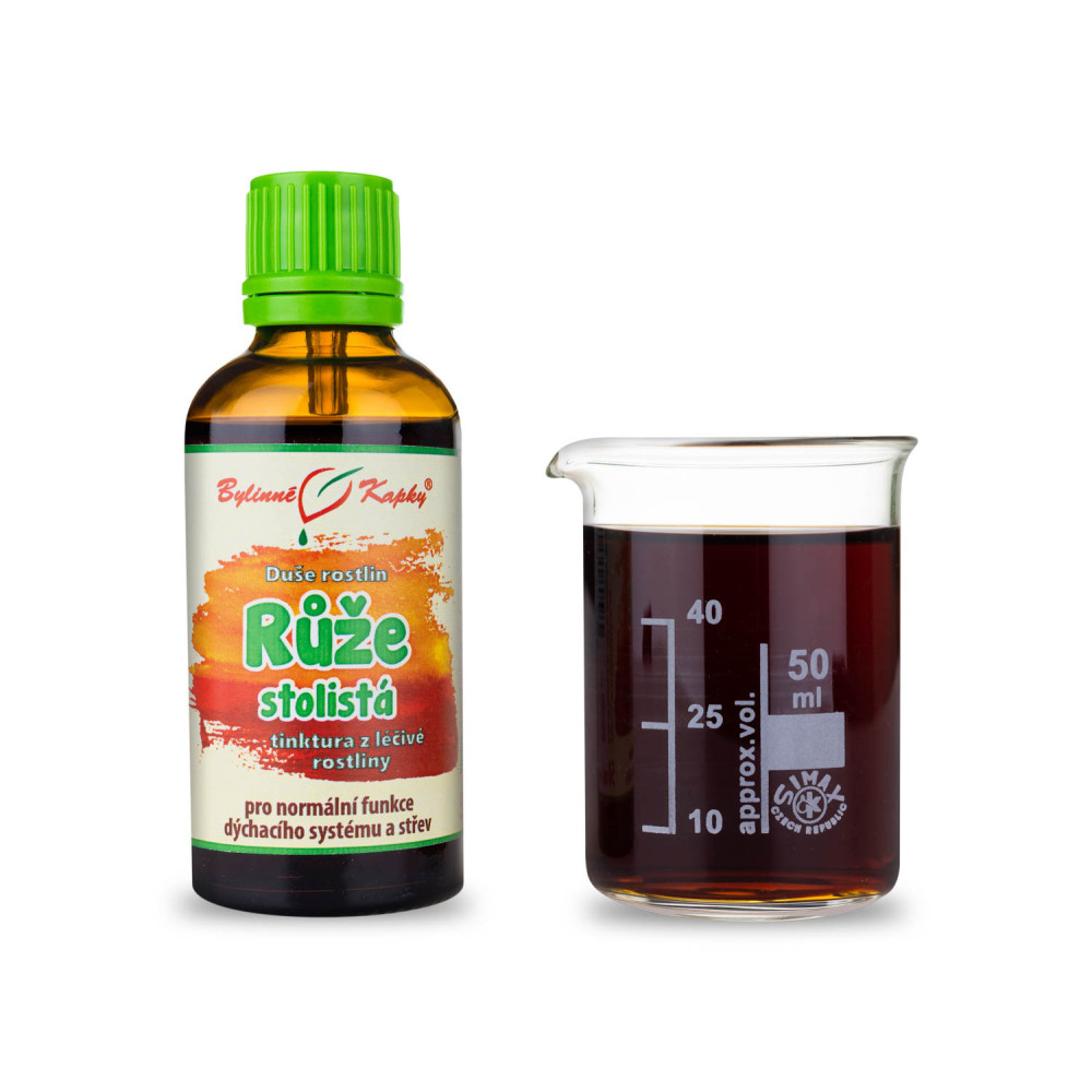 Růže stolistá - Duše rostlin tinktura 50 ml - Bylinné Kapky