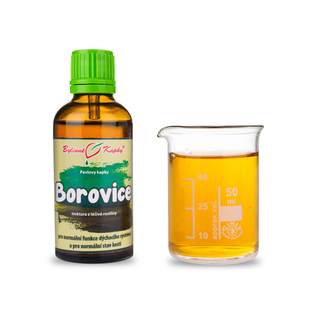 Borovice výhonky tinktura 50 ml - Bylinné Kapky