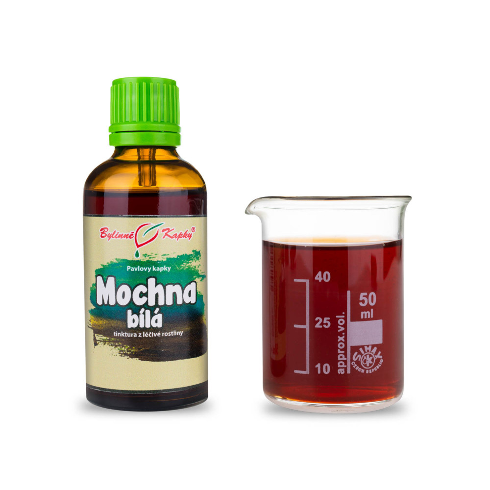 Mochna bílá  tinktura 50 ml - Bylinné Kapky