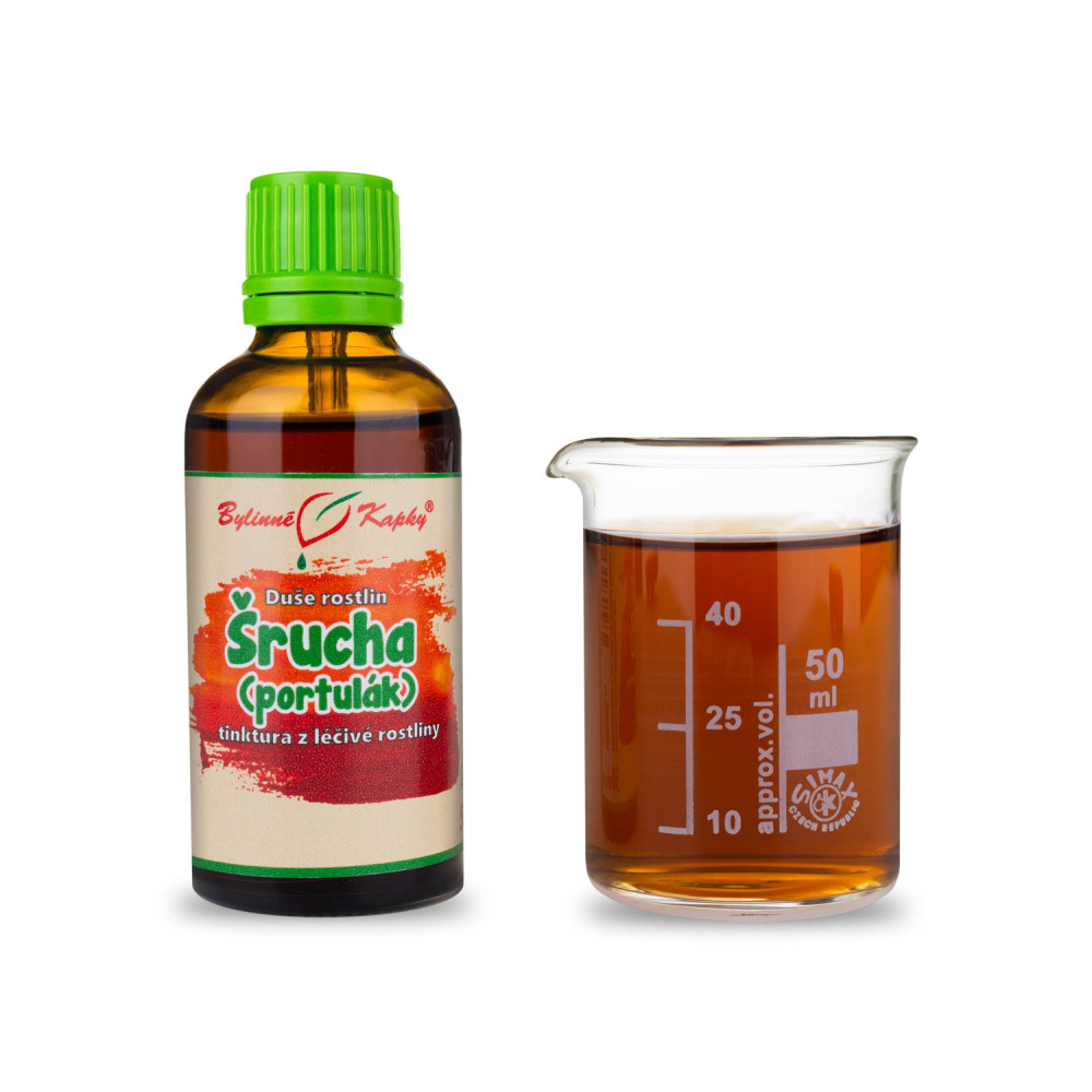 Šrucha (portulák) - Duše rostlin tinktura 50 ml - Bylinné Kapky