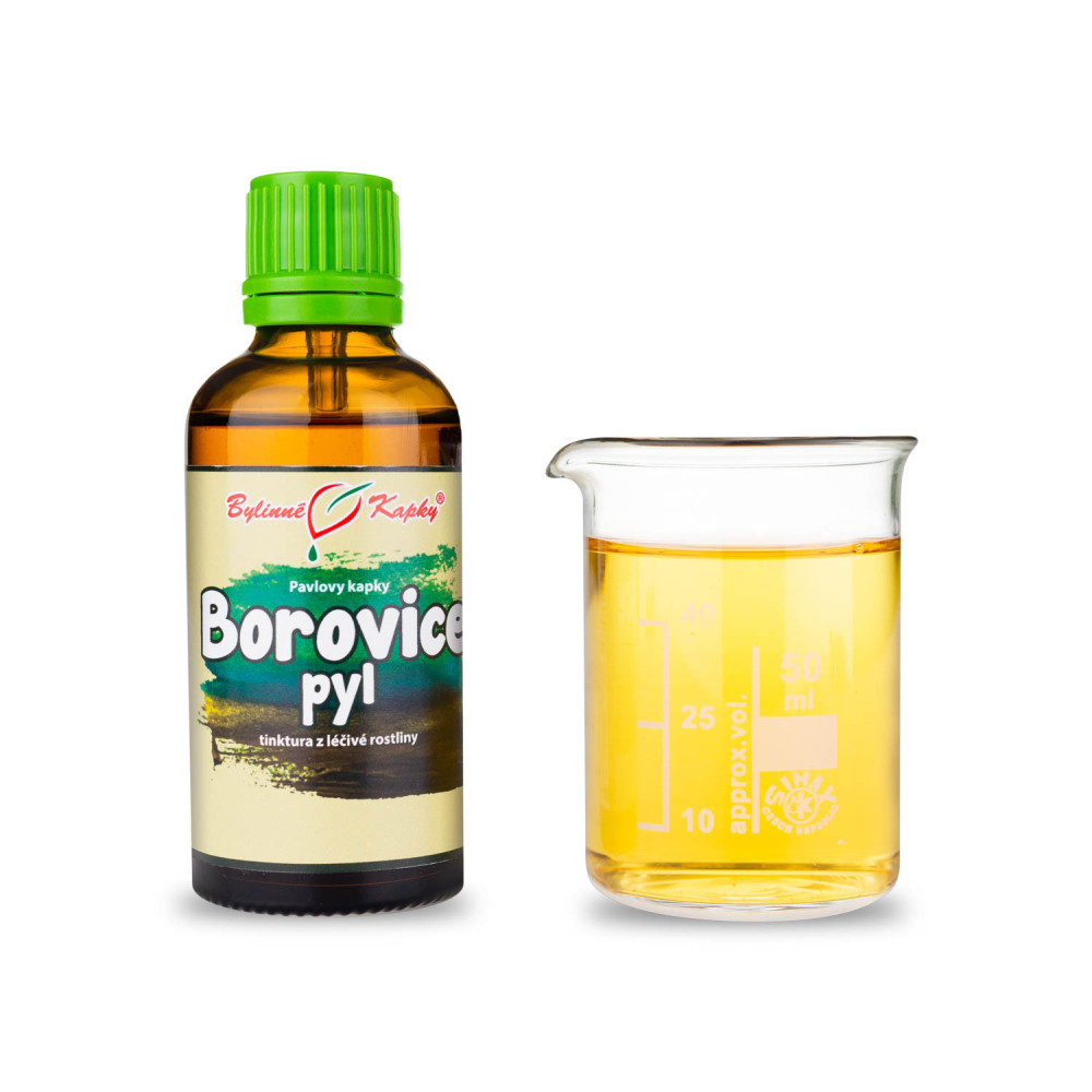 Borovice pyl tinktura 50 ml - Bylinné Kapky