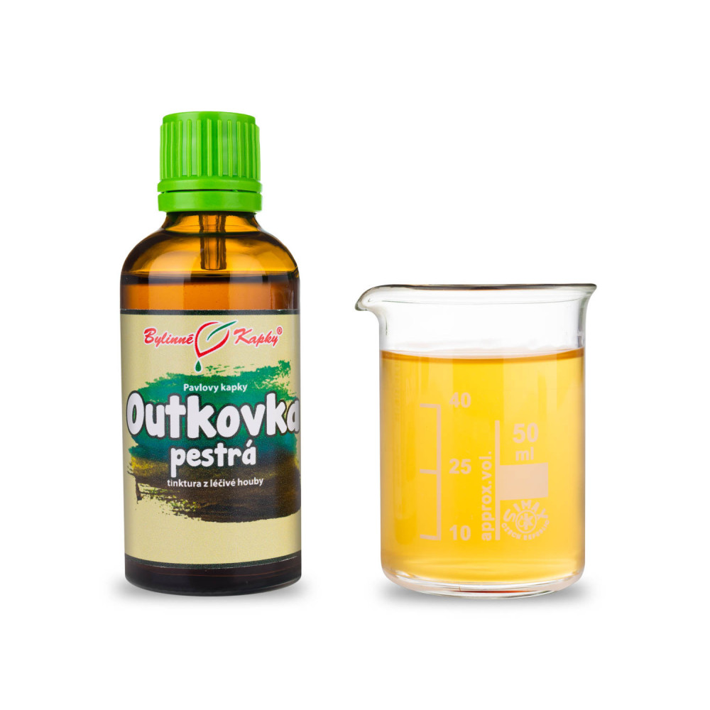 Outkovka pestrá (Coriolus) tinktura 50 ml - Bylinné Kapky