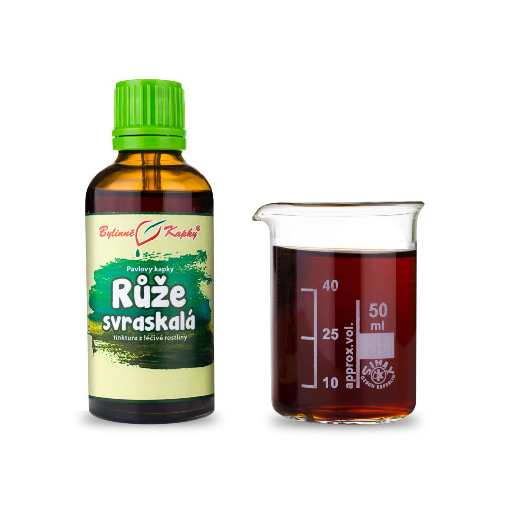 Růže svraskalá tinktura 50 ml - Bylinné Kapky