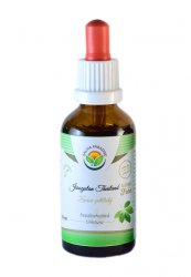 Jiaogulan Thailand AF tinktura 50ml - Salvia Paradise