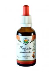 Penízovka sametonohá AF tinktura 50ml - Salvia Paradise