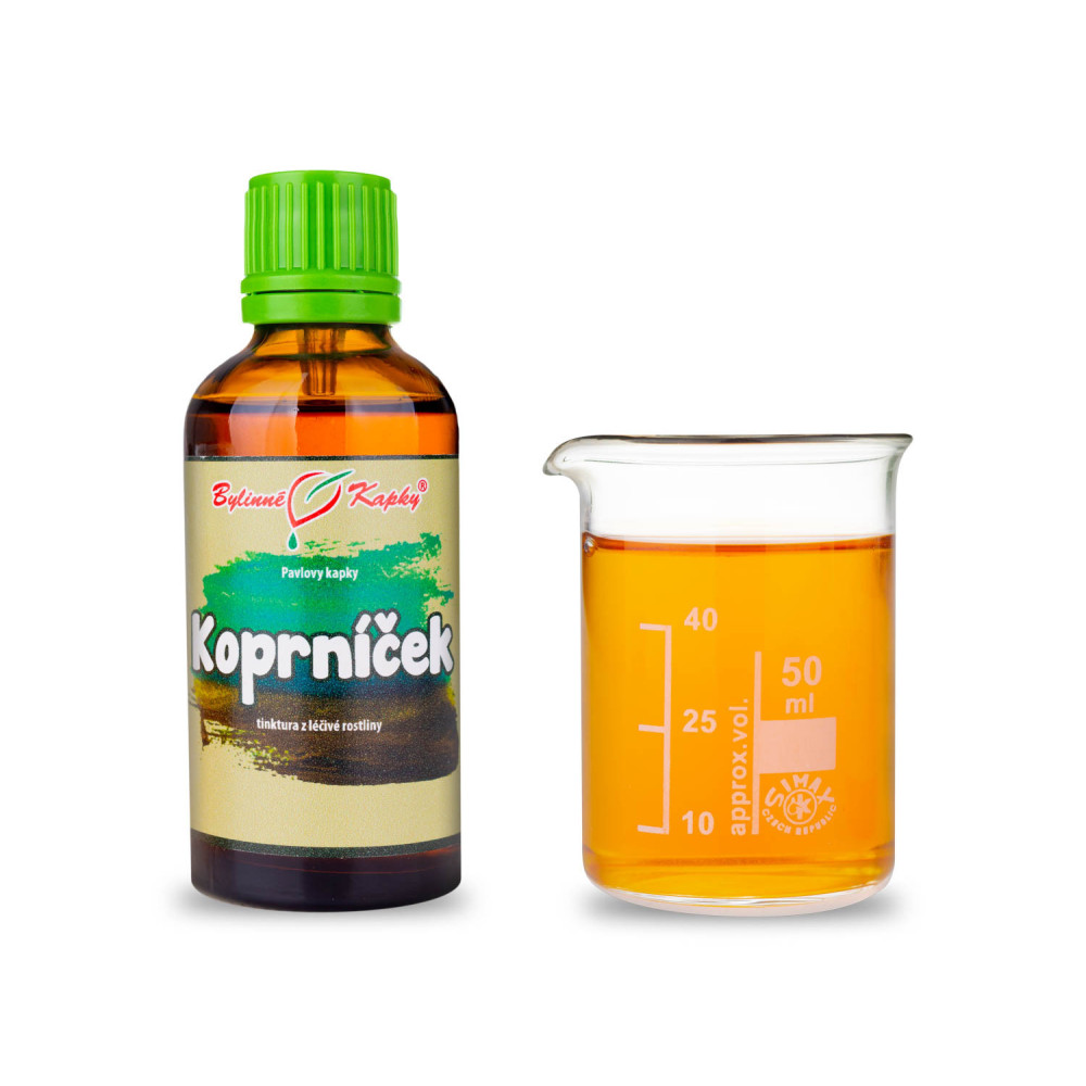 Koprníček (TCM) tinktura 50 ml - Bylinné Kapky