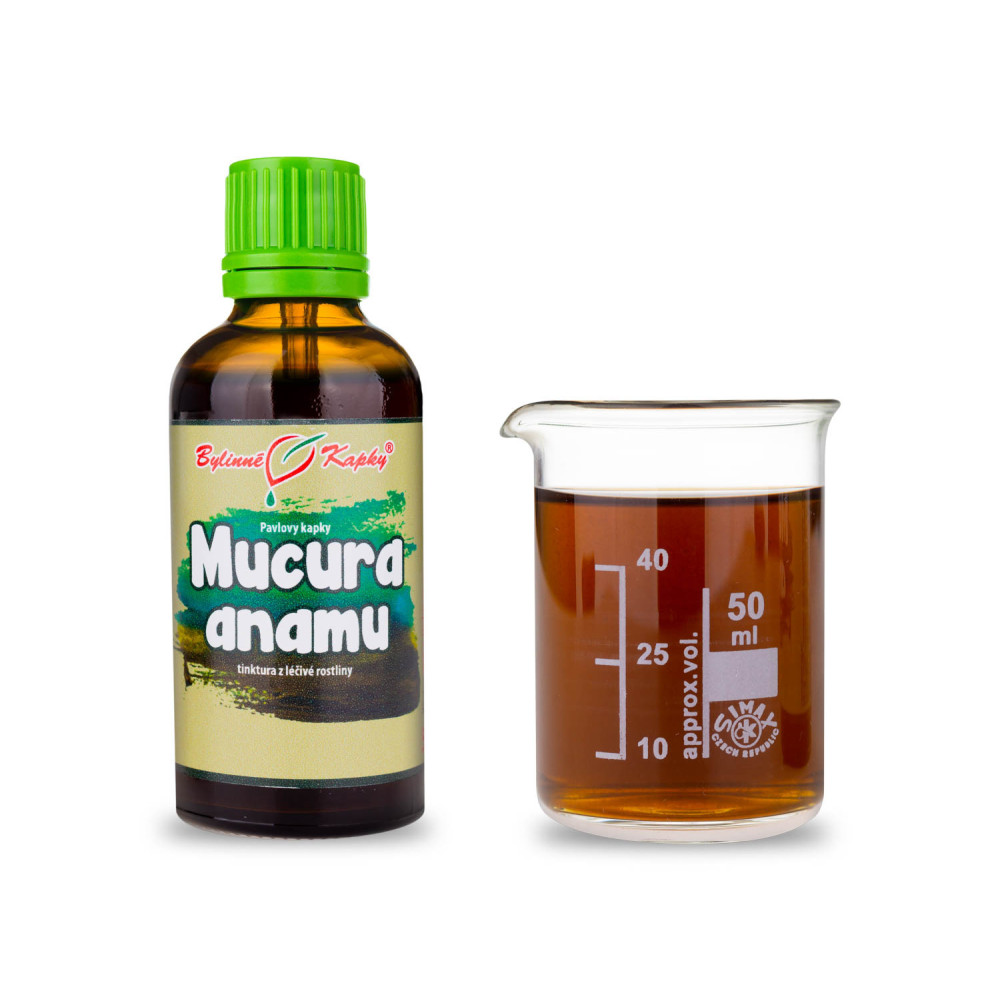 Mucura / anamu tinktura 50 ml - Bylinné Kapky