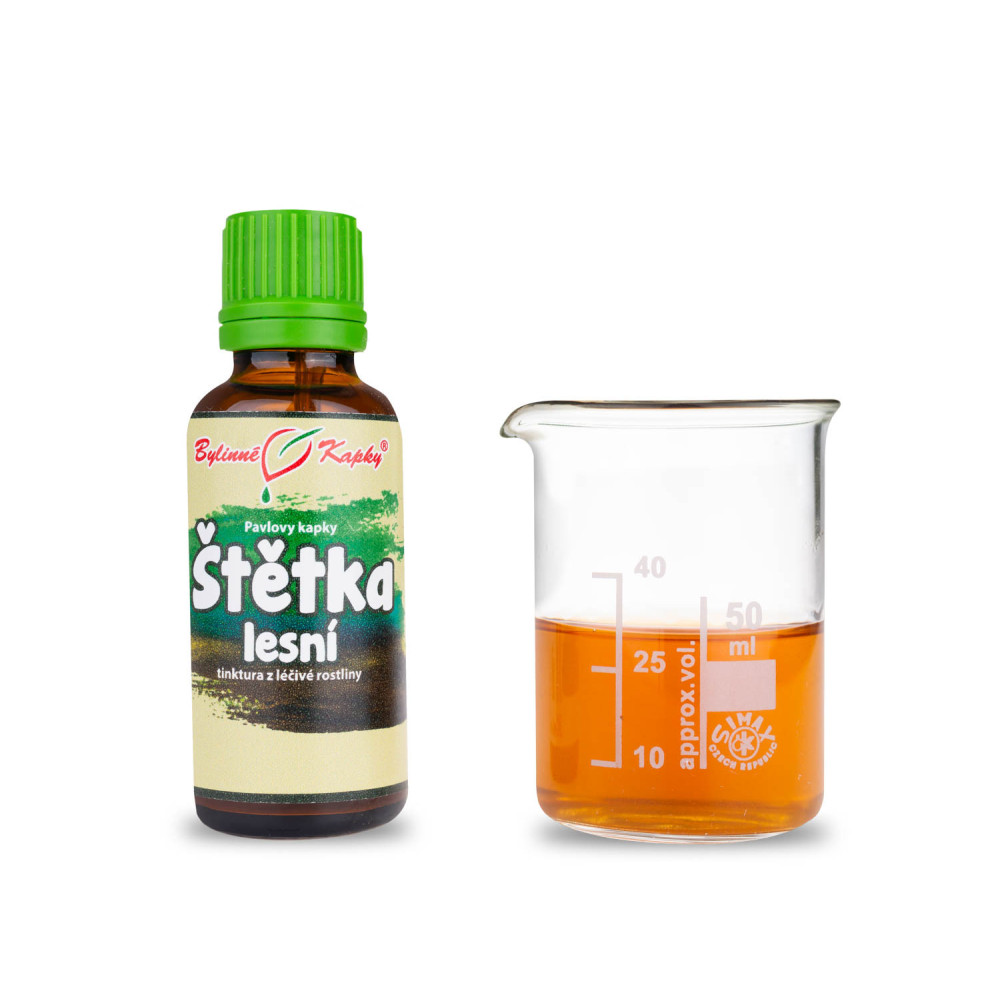 Štětka lesní  tinktura 30 ml - Bylinné Kapky